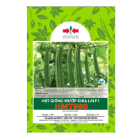 Hạt giống Mướp khía lai F1 HMT980 East-West Seed (Hai Mũi Tên Đỏ) - Gói 14 hạt - Hình ảnh minh họa