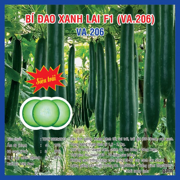 Hạt giống Bí đao lai F1 (lá sẻ) WG9 PN