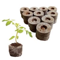 - Viên nén xơ dừa ươm hạt