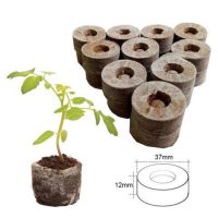 - Viên nén xơ dừa ươm hạt