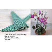 - Combo 10 que ( ty ) cắm hoa lan - Hình ảnh minh họa