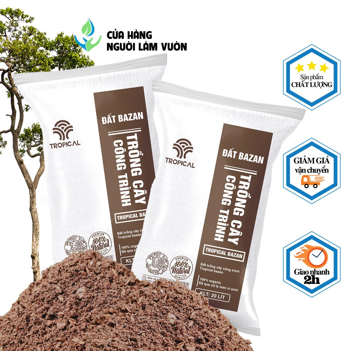 Hạt giống Tần ô PN 104 - Gói 20 gram