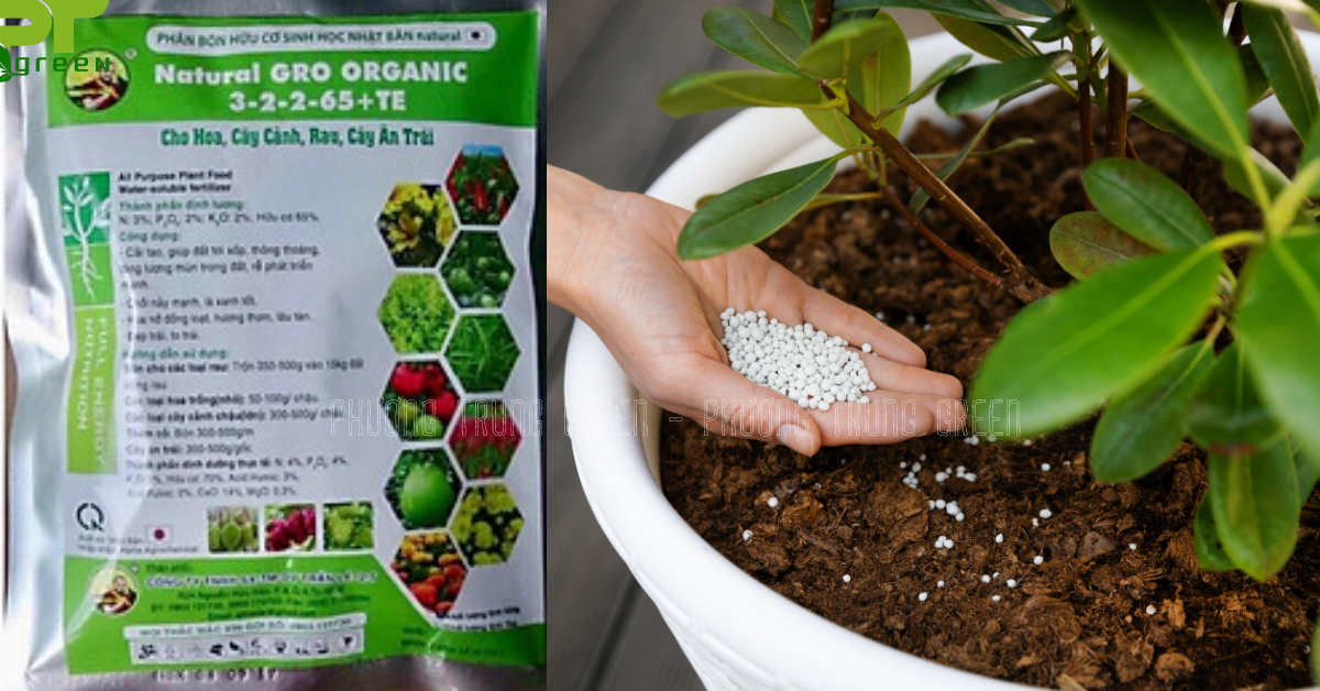 Phân bón tự nhiên cho cây cảnh
